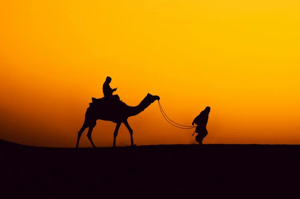 Camel safari silhouetted against a Thar desert sunset
